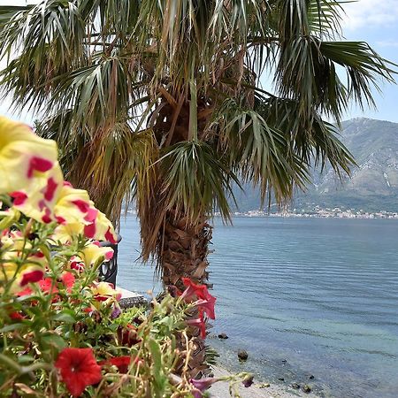Appartement Maniva Penthouse By The Sea à Kotor Extérieur photo